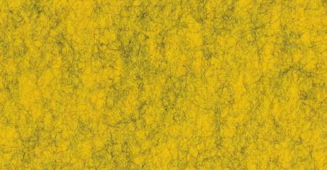 9612 raps Platte 1250 x 2500 mm Akustik Filze – NITONA® gefärbt